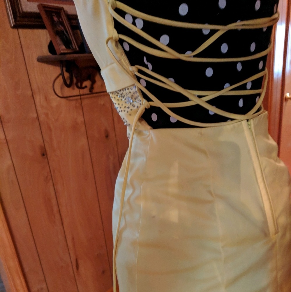 Dress - Picture 4 of 5
